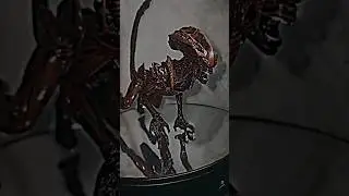 Скрежет ✨ #figures #фигурки #schleich #alien #neca #edit #чужой #fireteamelite #шляйх
