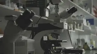CSI x OCB Story