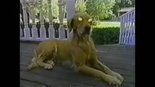 Goosebumps Intro & Credits (S3 E2: My Best Friend Is Invisible)