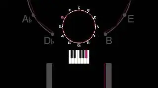 Rotating a Hendecagon on the Circle of Fifths