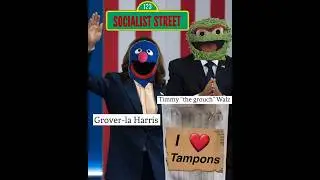 Introducing the Dream Team #meme #memes #politics #political #kamala #sesamestreet #grover #oscar