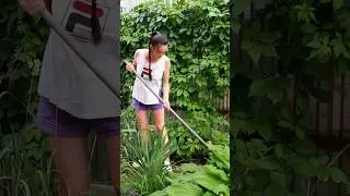 Новый жизненный этап #сад #дача #дети #строительство