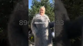 5 сентября 2024 г.
