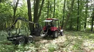 Hanging tree handling