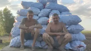 Идёт погрузка свеклы