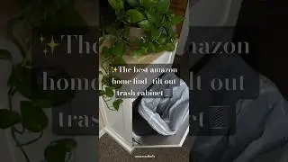 Hidden gem on Amazon: Tilt out trash can cabinet reveal! 🗑️✨