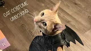 Unboxing Halloween Goody Box from Chewy and my cats Halloween costumes! 🎃👻