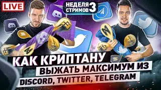 Как увеличить профит с помощью Discord, Telegram, Twitter? / Неделя стримов #3