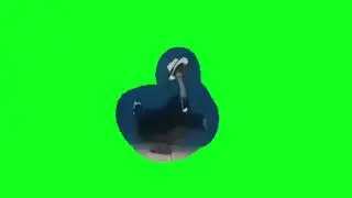 Гусь бежит футаж