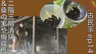 古民家ep14二階三階清掃＆桑の実や梅収穫