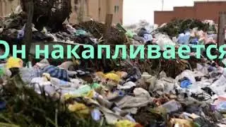 В рамках проекта "Экологическая мастерская "