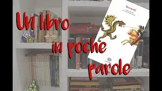 Un libro in poche parole: 