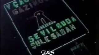 Bos hayaller