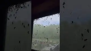 Кто виноват? И что делать? 