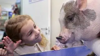 Экскурсия в ветеринарную клинику. Экзоты