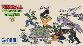 I played in a 6v6 Overwatch 2 Tournament for Charity