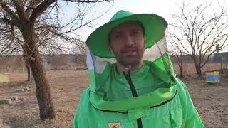 ПОДКОРМКА ПЧЁЛ ВЕСНОЙ. ВОПРОСЫ И ОТВЕТЫ