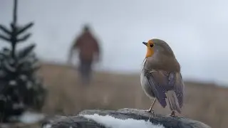 John Lewis Christmas Advert 2024 - Send Me a Sign (Inspired Advert)