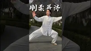 Chinese Tai chi