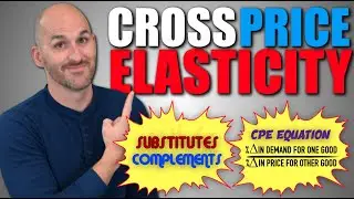 Micro: Unit 2.3 -- Cross-Price Elasticity