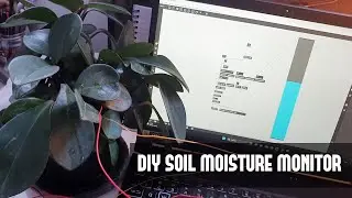 Turning Soil Moisture into Music: A Max MSP Experiment
