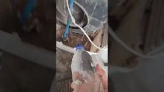 how to water cold without freeze #shorts