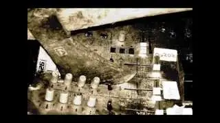 Hi Profile - Dead or Alive