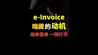 ⚓️ e-Invoice暗藏动机