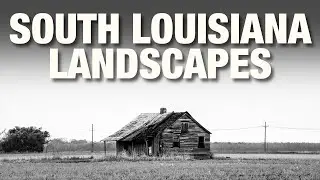 Landscape Photography in South Louisiana (Giant Oak Trees and Old Farm Shacks)