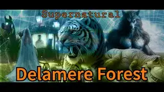 Cryptids & Dinosaurs at Delamere Forest