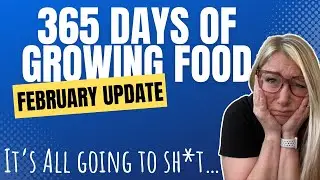 365 days of growing food in my Rise Garden | February update