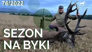 SUDECKA OSTOJA 76/2022 HUGE Stag | Deer Hunting in Poland