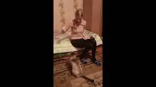 возвращение из Карелии. встреча с нашим питомцем - Швондером!