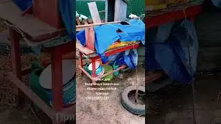 Приют для бездомных животных