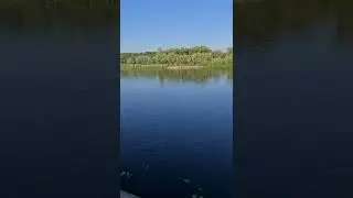 Гомель река Сож