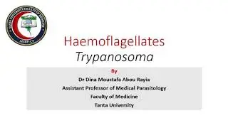 Lecture 2 Trypanosoma (Parasitology)