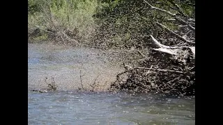Yakima River Fly Fishing Report-April 11th, 2024-Worley Bugger Fly Co