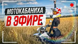 Объявляю начало розыгрыша! Разыгрываю свои стикеры ;))) Стрим МотоКАБАНИХИ 🔥☃