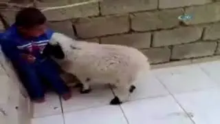 Dur Oğlım Dur...Ato