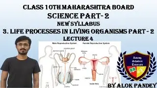 3.Life Processes  in Living Organisms Part 2 | Sexual Reproduction in Human Being|RST|By Alok Pandey