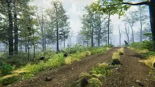 Forest Environment - Dynamic Nature - Level_Art | Unity 2019