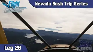 Microsoft Flight Simulator 2020 - Nevada Bush Trip - Leg 20