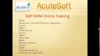 SAP EWM Online Training