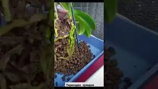 С меня хватит 