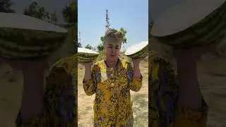 Qalpoq - Xom tarvuz