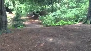 Steve on trail with jump