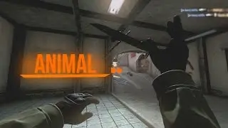 ANIMAL [dARA by Me]