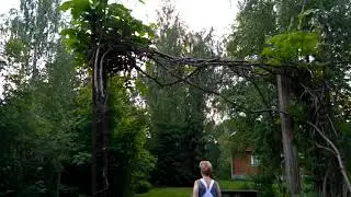 Ленинградская область. Коробицыно/Лебедевка.