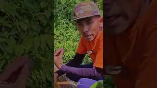 Ngala laukk di Emeekkk | Ikan di selokan