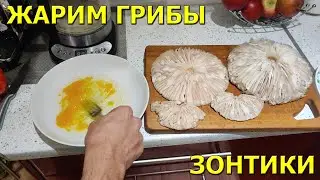 Let's fry umbrella mushrooms!